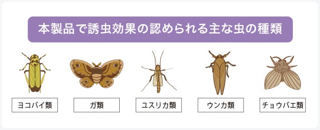 誘虫効果のある虫の例